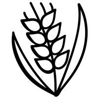pictogramme d'un épis de blé