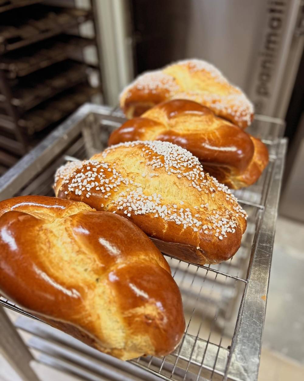 brioches nature et au sucre