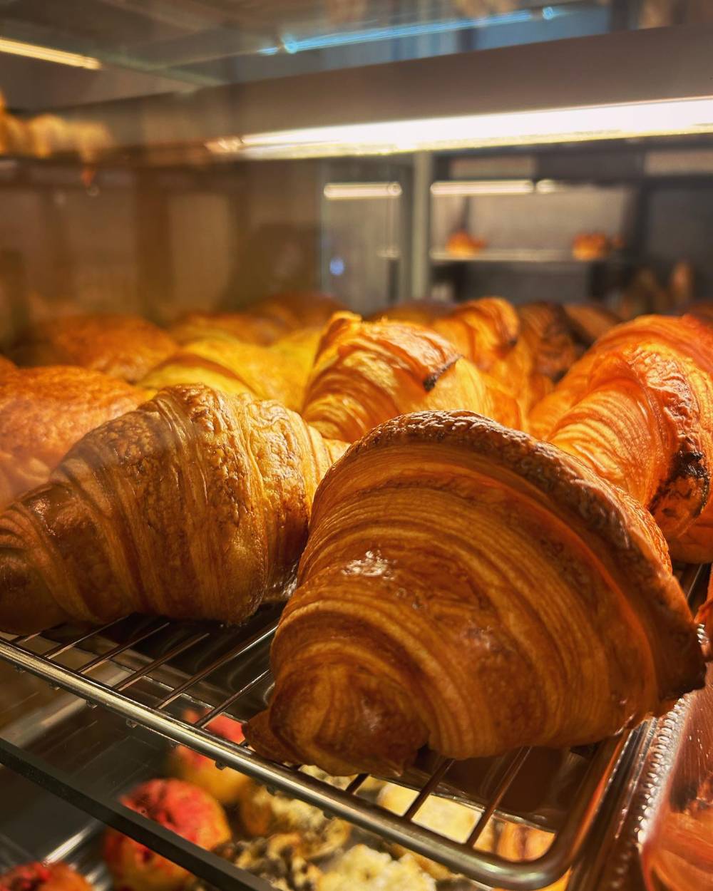 croissants dans le four